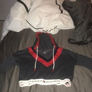 tommy hilfiger hoodie